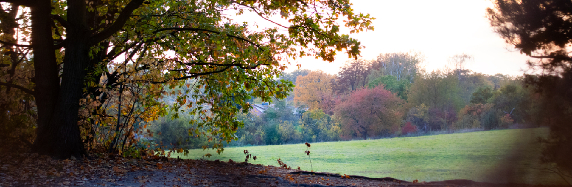 Herzlichen Glckwunsch zum 90. Geburtstag, Klaus Richter!